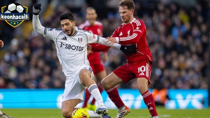 Liverpool vs Fulham